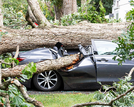 Storm Damage - SJ Tree Service