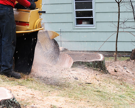 Stump Grinding - SJ Tree Service